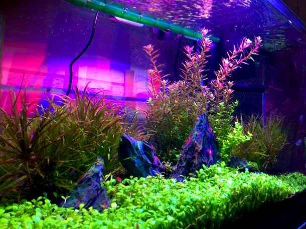 aqua mini - led aquarium light